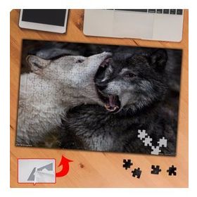 P093 Vahşi Hayvan Kurt Kapışması 240 Parça Puzzle Yapboz Tablo