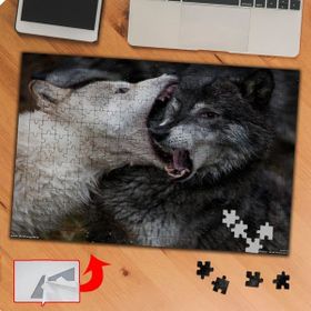 P093 Vahşi Hayvan Kurt Kapışması 240 Parça Puzzle Yapboz Tablo