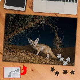 P096 Kurak Topraklarda Yabani Tilki 240 Parça Puzzle Yapboz Tablo