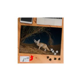 P096 Kurak Topraklarda Yabani Tilki 240 Parça Puzzle Yapboz Tablo
