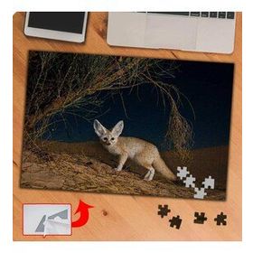 P096 Kurak Topraklarda Yabani Tilki 240 Parça Puzzle Yapboz Tablo