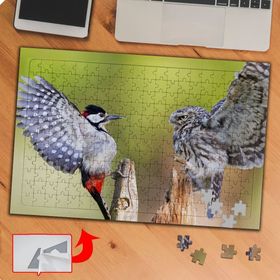 P104 Sevimli Baykuş Ve Kuş 240 Parça Puzzle Yapboz Tablo