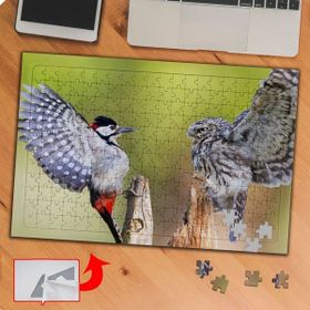 P104 Sevimli Baykuş Ve Kuş 240 Parça Puzzle Yapboz Tablo