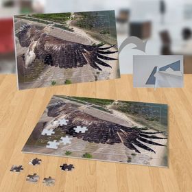 P105 Kartalın Uçuşu Doğa Hayvan 99 Parça Puzzle Yapboz