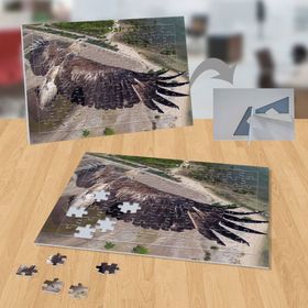 P105 Kartalın Uçuşu Doğa Hayvan 99 Parça Puzzle Yapboz