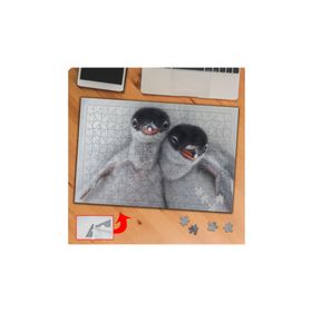 P109 Sevimli Yabani Penguenler 240 Parça Puzzle Yapboz Tablo