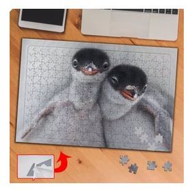 P109 Sevimli Yabani Penguenler 240 Parça Puzzle Yapboz Tablo