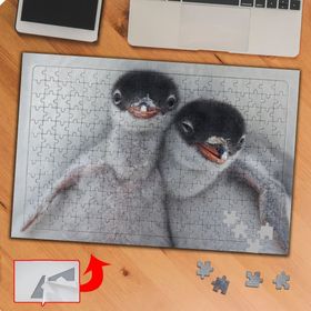 P109 Sevimli Yabani Penguenler 240 Parça Puzzle Yapboz Tablo