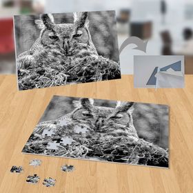 P110 Siyah Beyaz Baykuş Doğa Hayvan 99 Parça Puzzle Yapboz