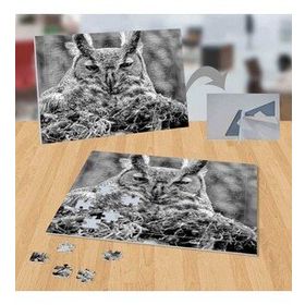 P110 Siyah Beyaz Baykuş Doğa Hayvan 99 Parça Puzzle Yapboz