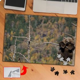 P111 Doğa Ağaçtaki Yabani Ayı 240 Parça Puzzle Yapboz Tablo