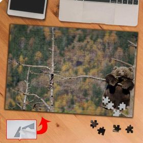 P111 Doğa Ağaçtaki Yabani Ayı 240 Parça Puzzle Yapboz Tablo