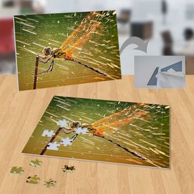 P117 Yusufçuk Hayvan Doğa 99 Parça Puzzle Yapboz