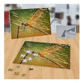 P117 Yusufçuk Hayvan Doğa 99 Parça Puzzle Yapboz