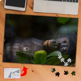 P118 Masum Sevimli Maymun 240 Parça Puzzle Yapboz Tablo