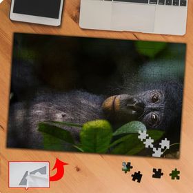P118 Masum Sevimli Maymun 240 Parça Puzzle Yapboz Tablo