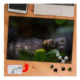 P118 Masum Sevimli Maymun 240 Parça Puzzle Yapboz Tablo