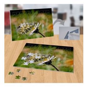P125 Çiçekteki Kelebek Hayvan Bitki Doğa 99 Parça Puzzle Yapboz