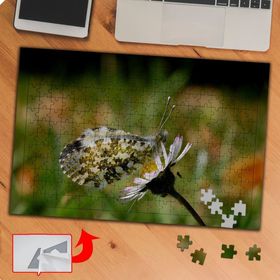 P125 Papatyaya Konmuş Kelebek 240 Parça Puzzle Yapboz Tablo