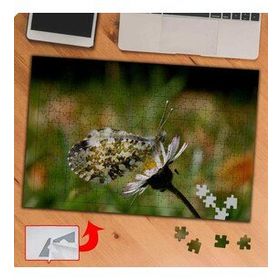 P125 Papatyaya Konmuş Kelebek 240 Parça Puzzle Yapboz Tablo