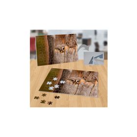 P129 Ağaç Kavuğunda Baykuş Doğa Hayvan 99 Parça Puzzle Yapboz