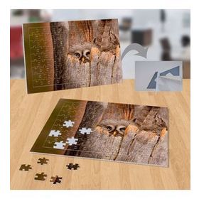 P129 Ağaç Kavuğunda Baykuş Doğa Hayvan 99 Parça Puzzle Yapboz