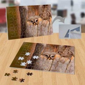 P129 Ağaç Kavuğunda Baykuş Doğa Hayvan 99 Parça Puzzle Yapboz