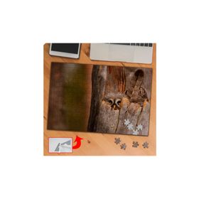 P129 Ağaçta Saklanan Baykuş 240 Parça Puzzle Yapboz Tablo