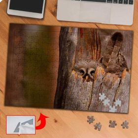 P129 Ağaçta Saklanan Baykuş 240 Parça Puzzle Yapboz Tablo