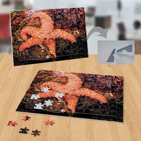 P133 Deniz Yıldızı Hayvan Deniz Doğa 99 Parça Puzzle Yapboz
