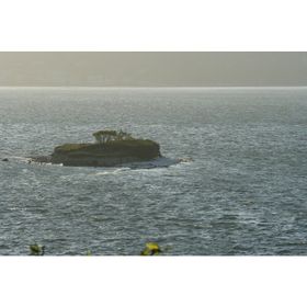 Pablo Neruda - Seçmeler