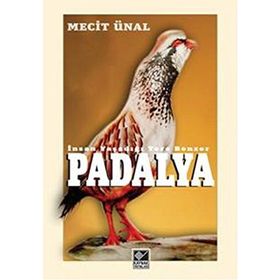 PADALYA İNSAN YAŞADIĞI YERE BENZER - MECIT ÜNAL
