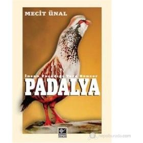PADALYA İNSAN YAŞADIĞI YERE BENZER - MECIT ÜNAL