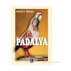 PADALYA İNSAN YAŞADIĞI YERE BENZER - MECIT ÜNAL