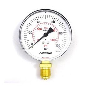 Pakkens 0-100 Bar 100 mm Alttan Bağlantılı Kuru G 1/2 inç Manometre