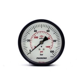 Pakkens 0-100 Bar 100 mm Arkadan Bağlantılı Kuru G 1/4 inç Manometre