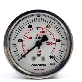 Pakkens 0-100 Bar 50 mm Panotipi Arkadan Bağlantılı Kuru G 1/8 inç Manometre
