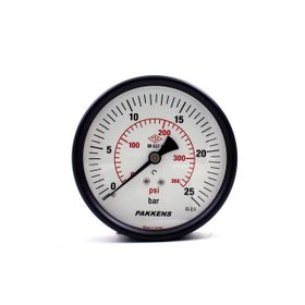 Pakkens 0-25 Bar 100 mm Arkadan Bağlantılı Kuru G 1/4 inç Manometre