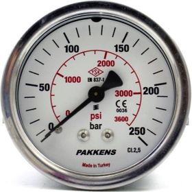 Pakkens 0-250 Bar 63 mm Arkadan Bağlantılı Panotipi Kuru G 1/4 inç Manometre