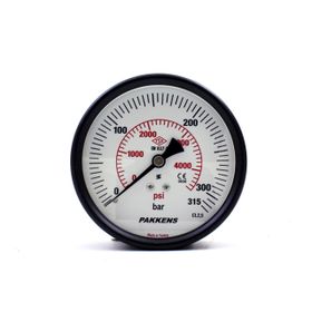 Pakkens 0-315 Bar 100 mm Arkadan Bağlantılı Kuru G 1/4 inç Manometre