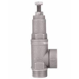 Pakkens 3/4'' Ayarlı Emniyet Ventili DN20 Erkek