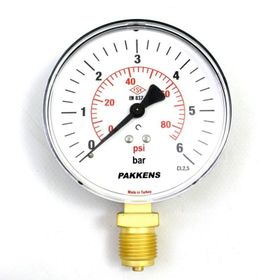 Pakkens Kuru G 1/2 inç 0-6 Bar 160 mm Alttan Bağlantılı Manometre