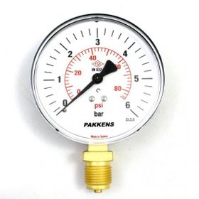 Pakkens Kuru G 1/2 inç 0-6 Bar 160 mm Alttan Bağlantılı Manometre