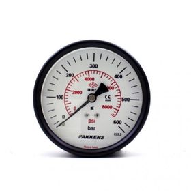 Pakkens Kuru G 1/4 inç 0-600 Bar 63 mm Arkadan Bağlantılı Panotipi Manometre