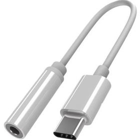 Paleon Type-C To Aux Dönüştürücü Adaptör