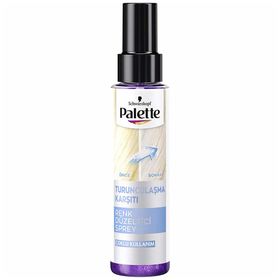 Palette 100 ml Renk Düzeltici Sprey