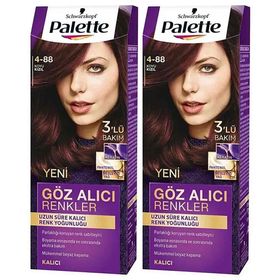 Palette 4.88 Koyu Kızıl Göz Alıcı Renkler 2li Saç Boyası