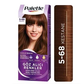 Palette 5 - 68 Kestane Saç Boyası