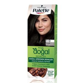 Palette Kalıcı Doğal Renkler 1-0 Siyah Saç Boyası