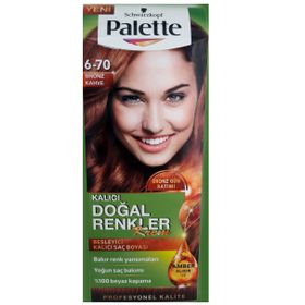 Palette Natural 6.70 Bronz Kahve Saç Boyası